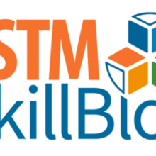 TSTMSkillBlox Logo